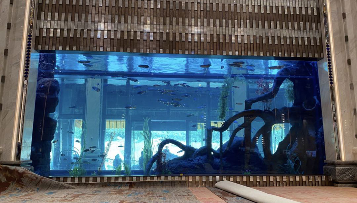 Large-format acrylic viewing panel installed in luxury casino aquarium, Macau 2023