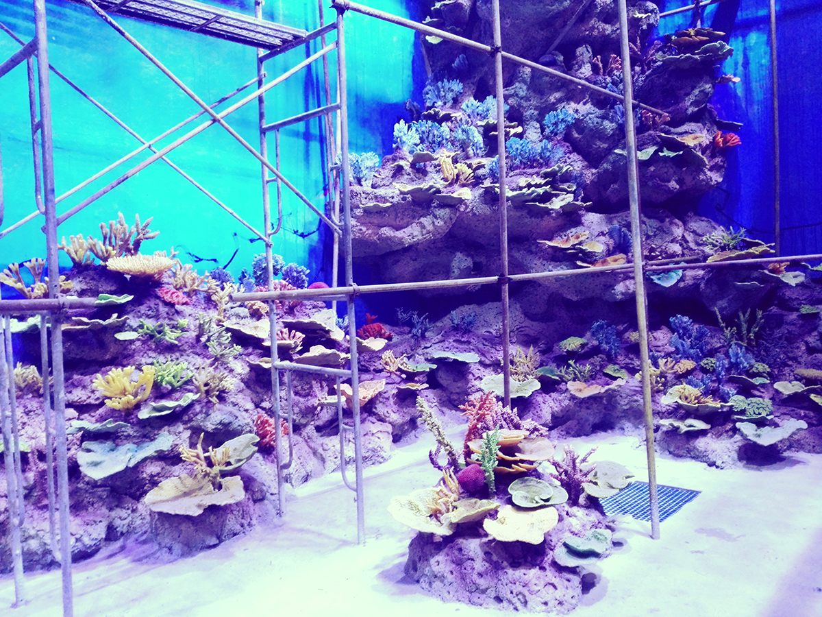 Artificial coral reef installation in progress — large public aquarium project
