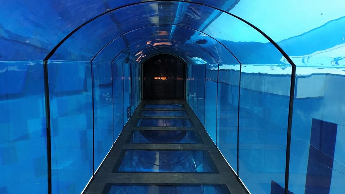 Acrylic underwater tunnel panels — curved PMMA segments forming walk-through aquarium tunnel, joint rings and installation sequence visible