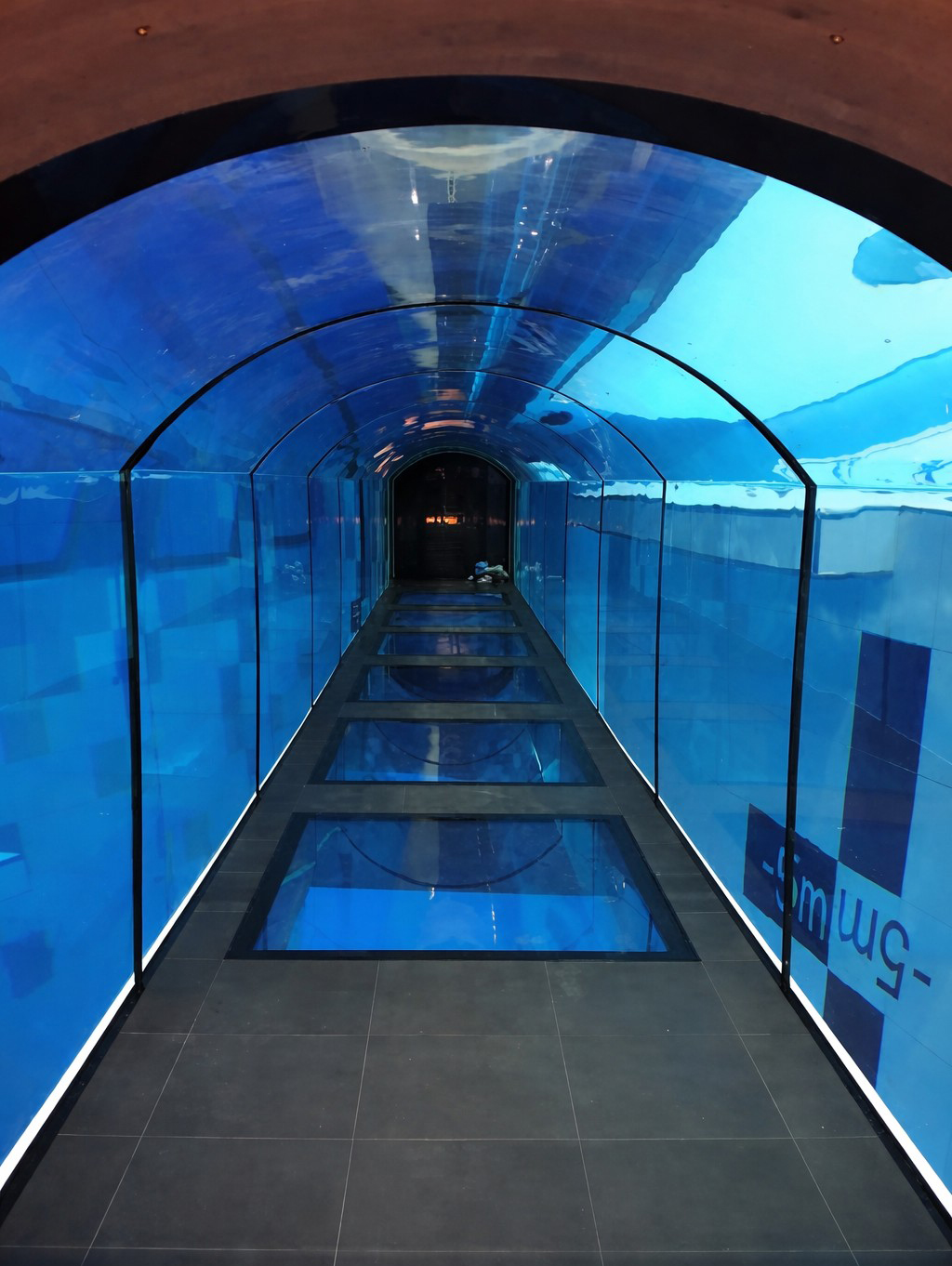Completed walk-through acrylic underwater tunnel — curved PMMA panel segments, water-filled aquarium tunnel