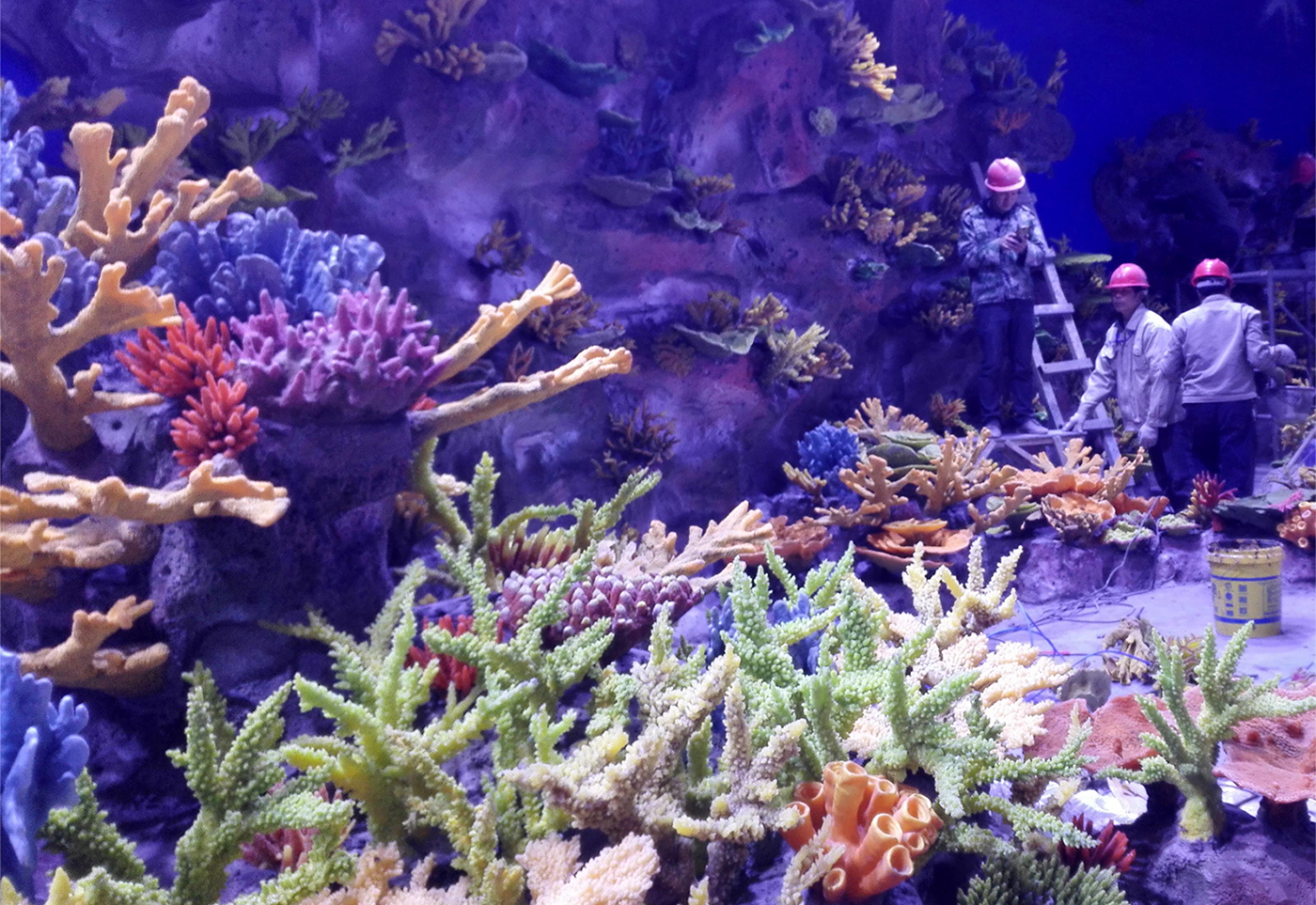Themed aquatic environment installation stage — scenic coral elements being placed with PMMA acrylic viewing panels installed