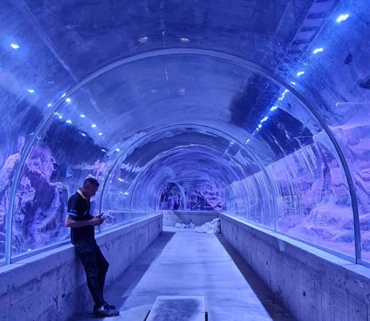 Curved acrylic underwater tunnel at Acuario Nautilus aquarium, Peru