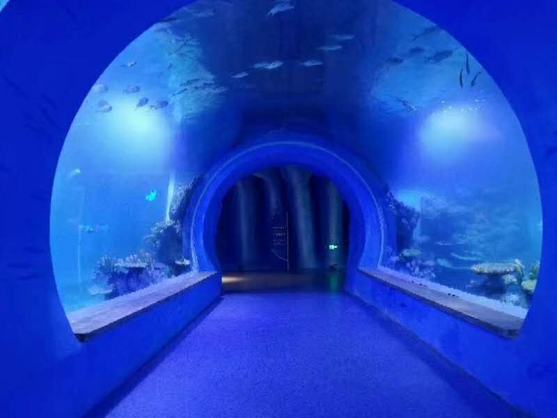 Completed acrylic walk-through aquarium tunnel — blue-lit curved cast-PMMA panels, India 2023