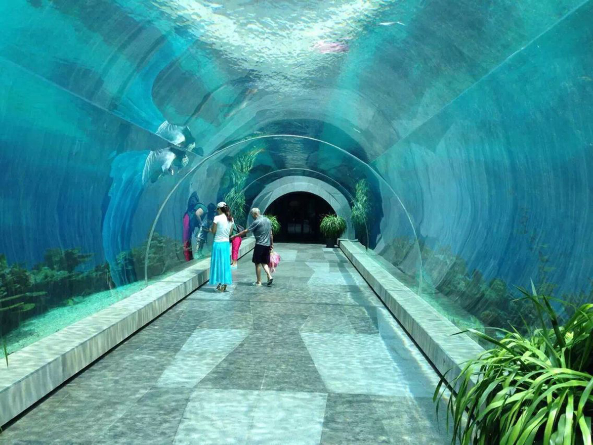 Large-radius acrylic underwater tunnel completed — wide-span curved PMMA panels with visitors for scale, showing internal radius and arch geometry, aquarium walk-through tunnel