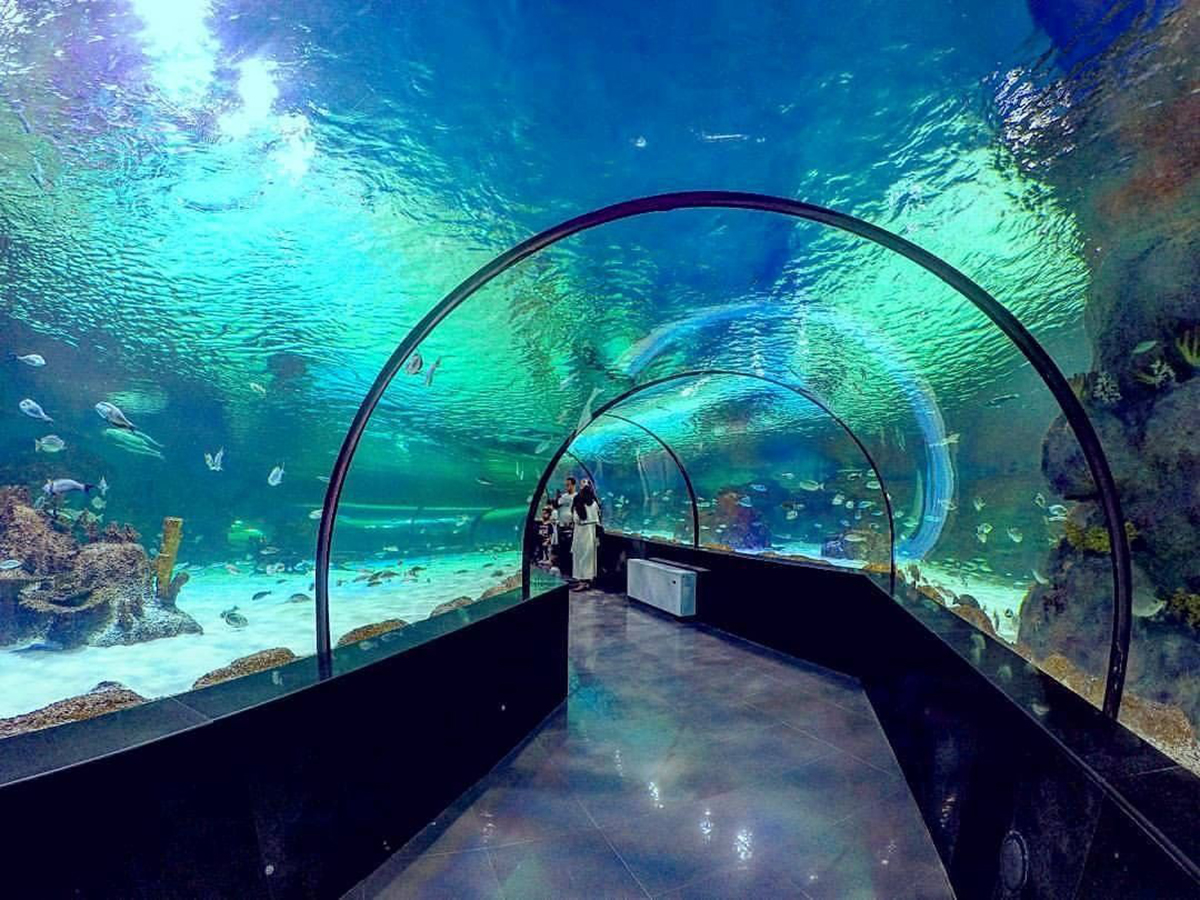 Small-radius acrylic underwater tunnel completed — tight curved PMMA segments with narrow arc span, base corner transition where curved side panels meet flat floor visible, compact walk-through aquarium tunnel